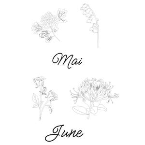 May include: Line art illustration of four different flowers: a cluster of small blossoms, lily of the valley, roses, and honeysuckle. The word "Mai" is written above the top two flowers, and "June" is written below the bottom two flowers.