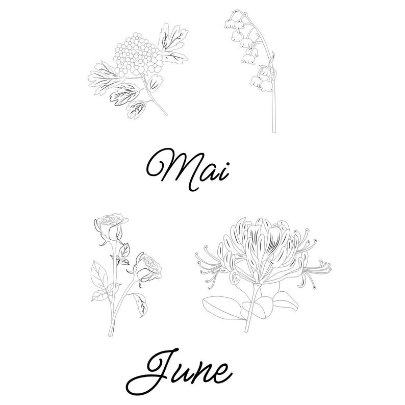 May include: Line art illustration of four different flowers: a cluster of small blossoms, lily of the valley, roses, and honeysuckle. The word "Mai" is written above the top two flowers, and "June" is written below the bottom two flowers.