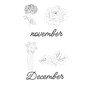 May include: Line art illustration of flowers associated with November and December. The image includes a chrysanthemum, peony, daffodil, and holly with berries. The words "november" and "December" are written in cursive.
