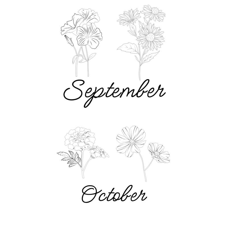 May include: Black and white line art illustration of flowers, including petunias, daisies, marigolds, and cosmos. The word "September" is written in cursive above the flowers, and "October" is written below.