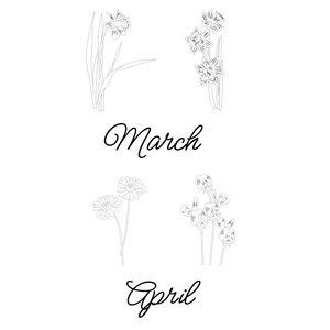 May include: Line drawing of spring flowers, including daffodils and daisies, with the words "March" and "April" in elegant script. The image is a simple black and white illustration.