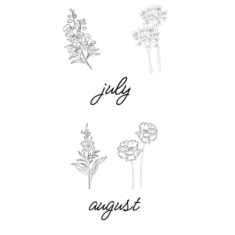 May include: Black and white line drawings of flowers, including snapdragons and poppies, are arranged on a white background. The word "july" is written in cursive above the flowers, and the word "august" is written in cursive below the flowers.