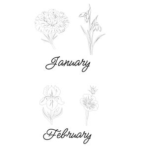 May include: Black and white line art illustration of flowers associated with January and February. The word "January" is written in cursive below two flower illustrations. The word "February" is written in cursive below two other flower illustrations.