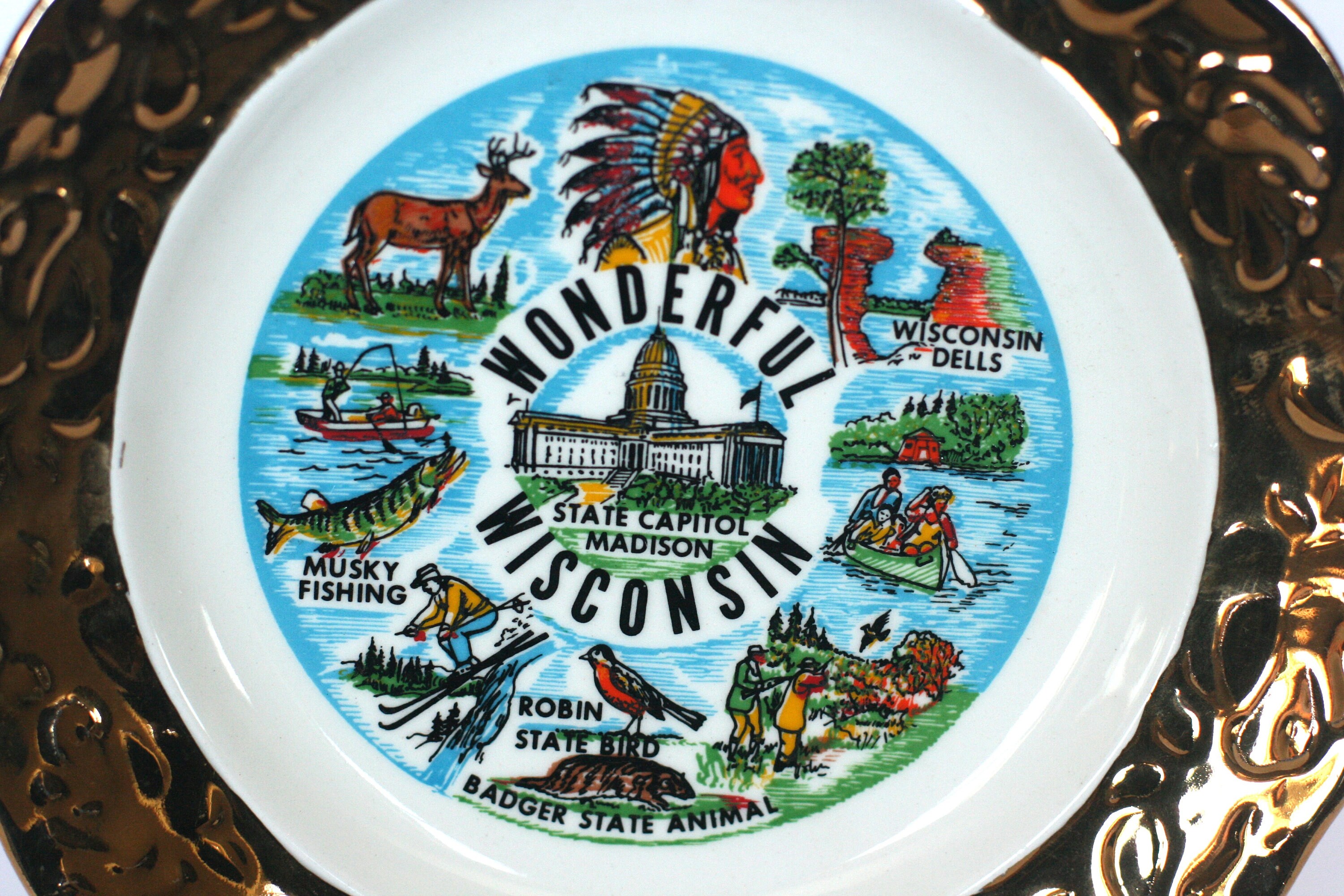 Collectibles Vintage Wisconsin Souvenir Collectible Plate The Dairy State Cheeseheads WI Art
