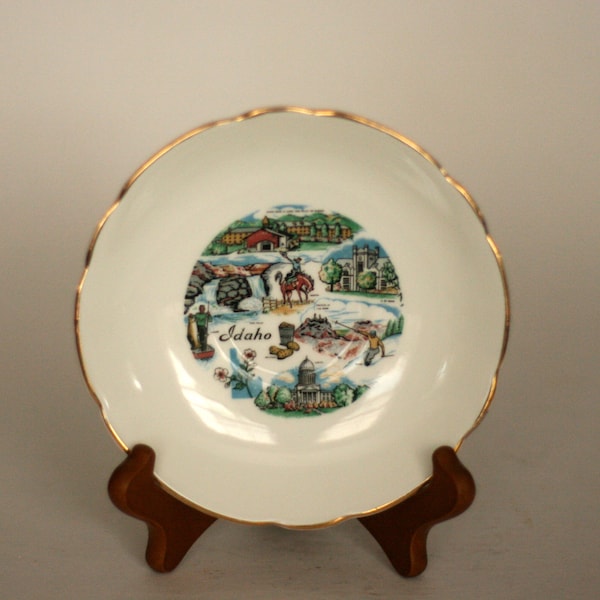 vintage Idaho saucer  regency bone china made in england