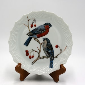vintage Limoges France Hand painted Bird plates Cabinet Plates Set of Two