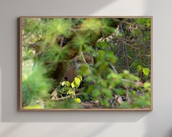 Baby Fox Print | Hidden in Green Forest | Wildlife Nature Art | Living Room Decor | Nature Lover Gift