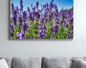 Lavender Field Macro Photography | Purple Flower Wall Art | Farmhouse Bedroom Decor | Calming Nature Photography | Minimalist Floral Art