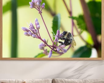 Bee on Wildflower Photography Print • Bumblebee Wall Art • Pollinator Garden Decor • Botanical Nature Print