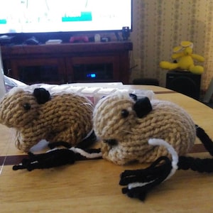 Knitted Gerbil Spotted Siamese image 1