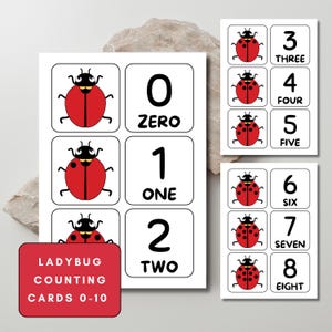 Ladybug Counting Cards: Preschool Number Match Game (Digital Download)