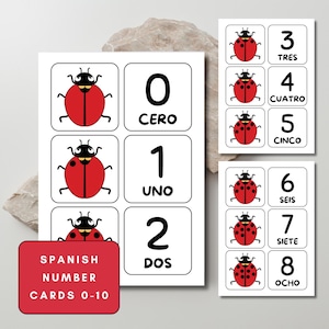Spanish Number Cards 0-10 Printable | Ladybug Counting Activity for Preschool | Learn to Count in Spanish | Kids Math Flashcards