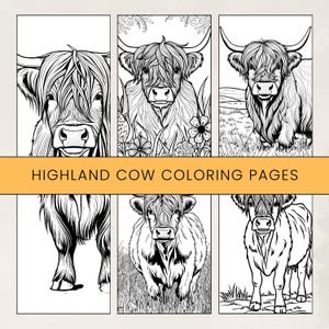 Printable Highland Cow Coloring Pages: Fun for Kids & Adults (Digital Download)