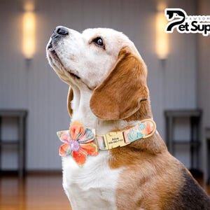Collier fleuri pour chien | Carte d'identité personnalisée pour animal de compagnie | Gravure Réglable Design Mignon | Accessoires pour petits et moyens grands chiens