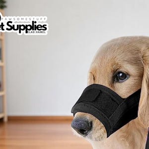 May include: A black dog muzzle on a golden retriever. The muzzle covers the dog's snout and is secured with a strap. The image includes the text "PAWSOMESTUFF Pet Supplies ELAD HAMEL".
