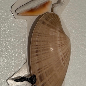 Pelican shell figure