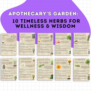 Puede incluir: Póster 'Jardín del Boticario' con 10 hierbas para el bienestar y la sabiduría. Incluye ilustraciones e información sobre ajo, salvia, lavanda, menta, romero, tomillo, manzanilla, melisa, caléndula y consuelda.