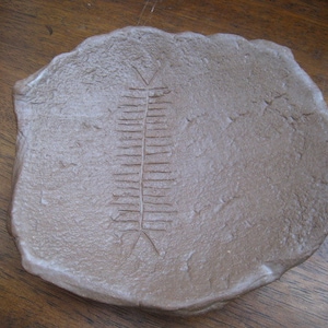 Può includere: Un piatto di argilla marrone con un disegno intagliato al centro. Il disegno è una serie di linee che formano uno schema che ricorda una piuma o una foglia.