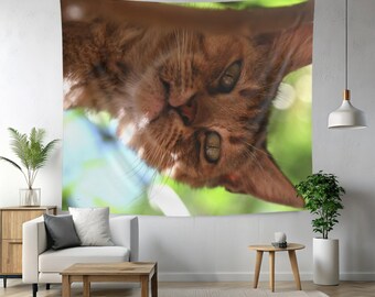 Cat photoshoot tapestry, content creators zoom background, cat lovers present, inexpensive home accents, tiny room decor, wall art prints