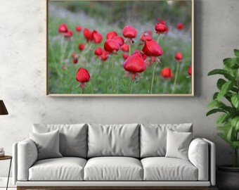 Red wild flowers in meadow poster, wall decor for  apartments, decorative wall hanging, best gift for new homeowners, beauty in nature