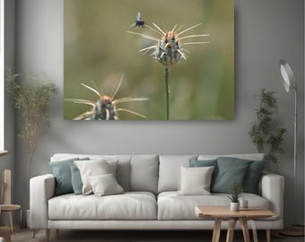 A fly on thorny plant canvas print, office wallart, home interior design ideas, new home present, housewarming present, dining area wall art