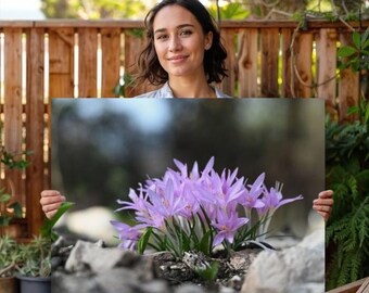 Steven's Meadow saffron wildflowers poster, dining area wall art, bed room decor,authentic photo, dorm decor, livingroom art, home gift
