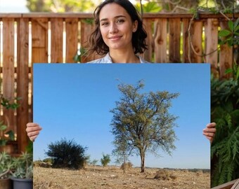 Tree photo poster, gift for hiking lover, authentic photo, nursery designs, bed room decor, heartfelt present, livingroom art, home gift