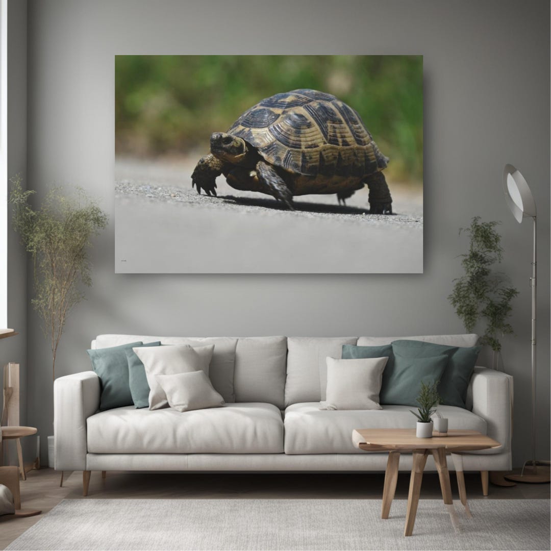 Turtle Real Photo Canvas Print, Interior Designer Inspiration, Capture ...
