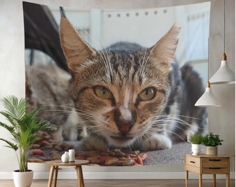 Stray cat authentic photo tapestry, cat lover gifts, holiday picks, tiny room decor, content creators zoom background, dorm decor, present