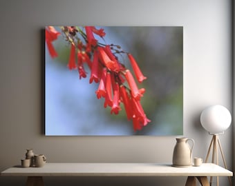 Russelia red flowers photo canvas, interior designer inspiration, livingroom art, new home present, wall decor for apartments, office decor