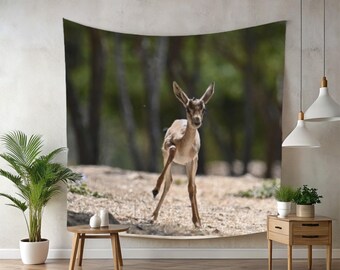 Gazelle real photo tapestry, new home present, best gift for new homeowners, wild animals photo, gazelle picture, office wallart, present