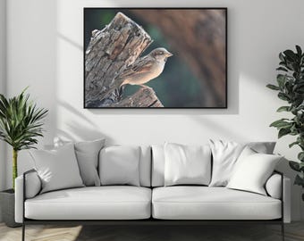 Sparrow poster, apartment wall art, interior decoration, presents for bird lovers, home gift, office decor, sparrow on branch, wall decor