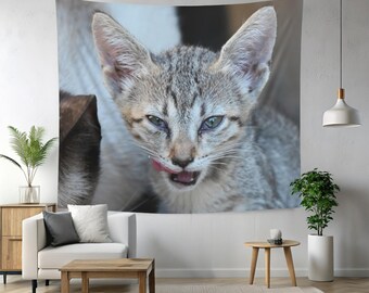 Cute kitten picture wall tapestry, small home office ideas, tiny room decor, content creators zoom background, stray kitten, real photo