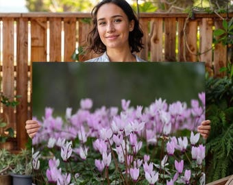 Cyclamen flowers real photo poster, Christmas gift, new home present, merry Christmas gift, nursery designs, Noel, wall art prints, wallart