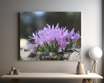 Pink wildflowers canvas, modern home decor, interior decoration, dining area wall art, home gift, nursery designs, floral canvas art