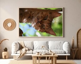 Cat photo poster print, cat lovers present, apartment wall art, wall decor, cat related gifts, office decor,  dining area wall art, feline