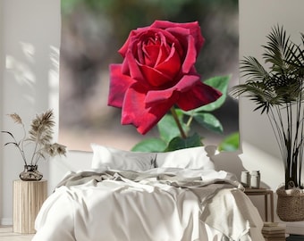 Red rose photo wall tapestry, best gifts for female friends, heartfelt present, garden flowers photo, flower photo, bed room decor, wall art