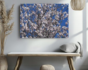 Almond blossom canvas photograph, new home present, decorative wall hanging, almond tree photography, flowers tree, thoughtful present
