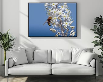 Wasp on seasquill wildflowers photo poster, apartment wall art, wall decor, office decor, interior designer idea, insect, present