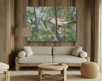 Sparrow on a branch photo canvas, presents for bird lovers, bird themed presents, wall decor for apartments, airbnb decoration ideas, gift