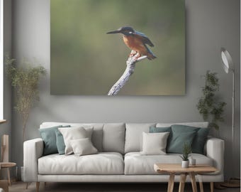 Kingfisher picture canvas, presents for bird lovers, decorative wall hanging, hotel room decoration, real photo, birdwatching, nature photo