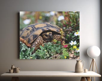 Turtle and wildflowers real photo canvas print, classroom decor,  wild animals photo, new home present, decorative wall hanging, present