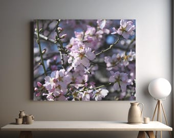 Almond blossom real photo canvas, new home present, dining area wall art, thoughtful present, nature photo, livingroom art, flowering tree