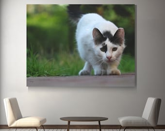Stray cat looking at the camera photograph canvas print, cat lovers present, wall decor for apartments, thoughtful present, real photo