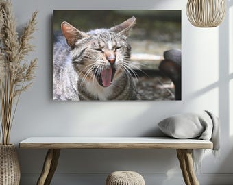 Yawning cat real photo canvas print, cat lovers present, housewarming preset, cat related gifts, gifts for best friends birthday, stray cat