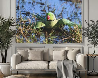 Parrot taking bath real photo wall tapestry, bed room decor, decor above headboard, content creators zoom background, thoughtful present