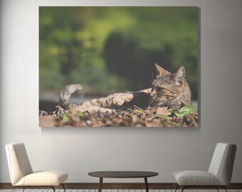 Stray cat photography canvas, cat lovers present, new home present, office decor, new home present, dining area wall art, classroom decor