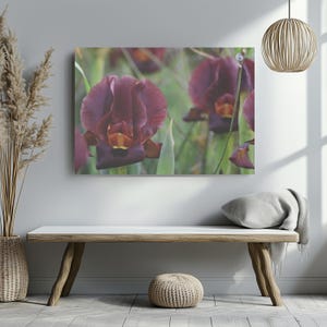 Iris photography wildflowers real photo canvas, interior designer inspiration, decorative wall hanging, hotel room decoration, iris flowers