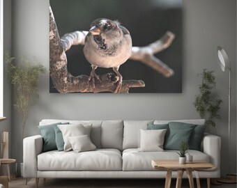 Sparrow on branch real photo canvas, gifts for bird enthusiasts, interior designer idea, national bird day, happy new year gift, wall art
