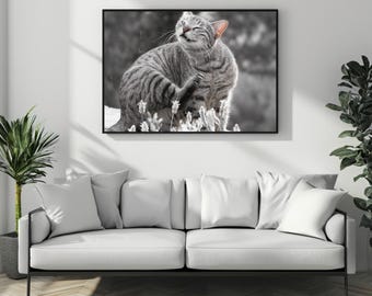 Black and white cat photo poster print, cat lovers present, cat related gifts, office decor,  dining area wall art, b&w photography, present